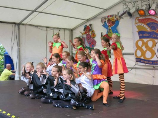 Strassen-_und_Hoffest 2014_010.jpg